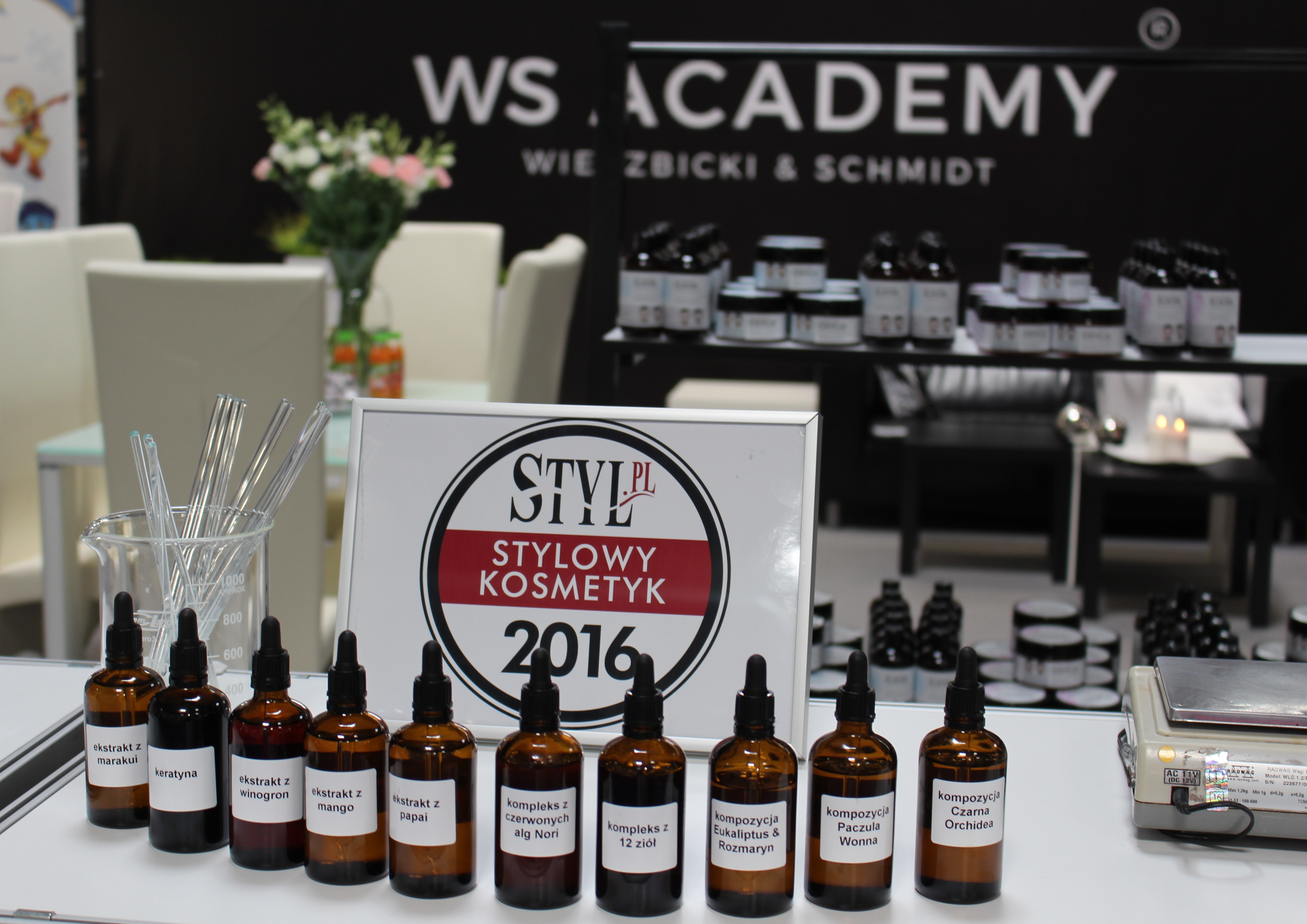 WS Academy Wierzbickim & Schmidt 
